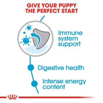 Show full view: Royal Canin Size Health Nutrition Small Puppy Dry Dog Food, 30-lb bag slide 5 of 13