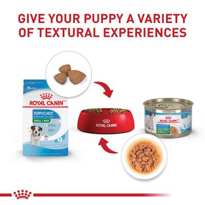 Royal Canin Size Health Nutrition Small Puppy Dry Dog Food
