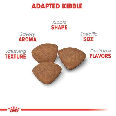 Royal Canin Size Health Nutrition Small Puppy Dry Dog Food