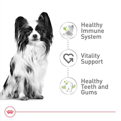 Show full view: Royal Canin Size Health Nutrition X-Small Adult 8+ Dry Dog Food, 2.5-lb bag slide 5 of 12