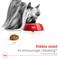 Show in main carousel: Royal Canin Size Health Nutrition Adult X-Small Dry Dog Food, 14-lb bag slide 4 of 12