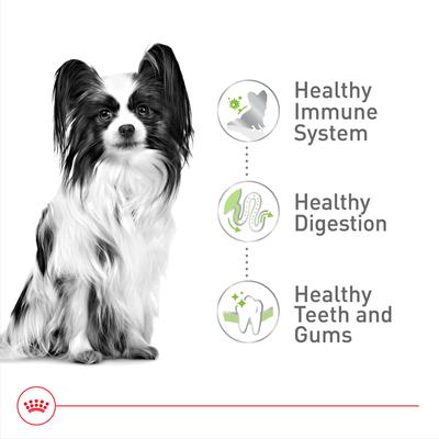 Show full view: Royal Canin Size Health Nutrition Adult X-Small Dry Dog Food, 14-lb bag slide 5 of 12