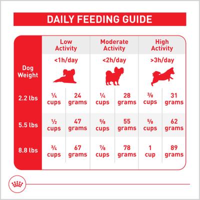 Show full view: Royal Canin Size Health Nutrition X-Small Aging 12+ Dry Dog Food, 2.5-lb bag slide 10 of 13