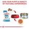 Show in main carousel: Royal Canin Size Health Nutrition Puppy X-Small Dry Dog Food, 14-lb bag slide 6 of 12