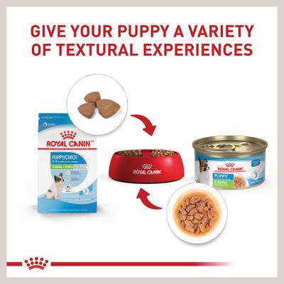 Royal Canin Size Health Nutrition X-Small Puppy Thin Slices in Gravy Wet Dog Food