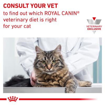 Show full view: Royal Canin Veterinary Diet Adult Dental Dry Cat Food, 1.3-lb bag slide 10 of 12