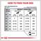 Show in main carousel: Royal Canin Veterinary Diet Adult Dental Medium & Large Breed Dry Dog Food, 17.6-lb bag slide 8 of 12