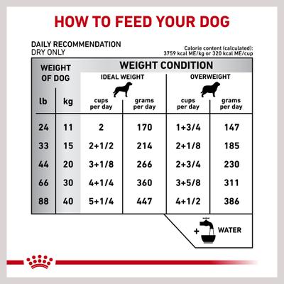 Show full view: Royal Canin Veterinary Diet Adult Dental Medium & Large Breed Dry Dog Food, 17.6-lb bag slide 8 of 12