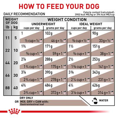 Show full view: Royal Canin Veterinary Diet Adult Gastrointestinal Dry Dog Food, 22-lb bag slide 9 of 13