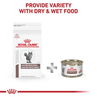 Show full view: Royal Canin Veterinary Diet Gastrointestinal Loaf in Sauce Wet Cat Food, 5.1-oz can, case of 24 slide 9 of 12