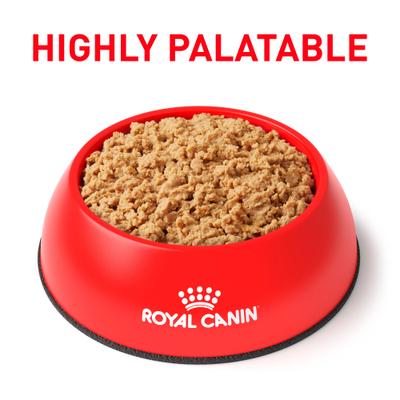 Show full view: Royal Canin Veterinary Diet Gastrointestinal Loaf in Sauce Wet Cat Food, 5.1-oz can, case of 24 slide 5 of 12