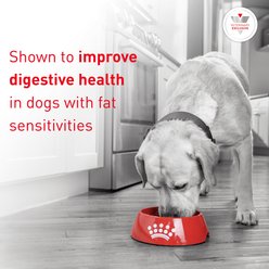 Royal Canin Veterinary Diet Adult Gastrointestinal Low Fat Dry Dog Food, 28.6-lb bag slide 2 of 8