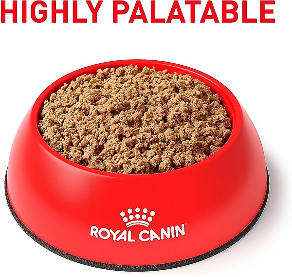 ROYAL CANIN VETERINARY DIET Adult Gastrointestinal Low Fat