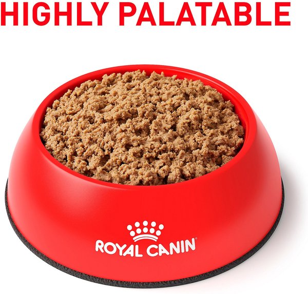Royal Canin Veterinary Diet Adult Gastrointestinal Low Fat Loaf Canned Dog Food