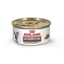 Royal Canin Veterinary Diet Adult Gastrointestinal Moderate Calorie Thin Slices in Gravy Canned Cat food, 3-oz, case of 24