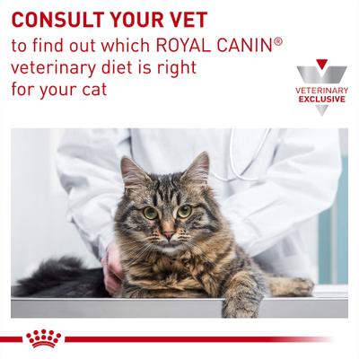 Show full view: Royal Canin Veterinary Diet Adult Gastrointestinal Moderate Calorie Thin Slices in Gravy Canned Cat food, 3-oz, case of 24 slide 10 of 12