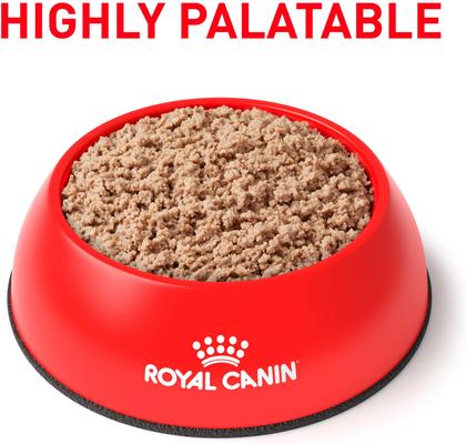 Royal Canin Veterinary Diet Glycobalance Canned Dog Food Chewy