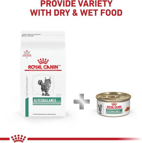 Royal Canin Veterinary Diet Adult Glycobalance Thin Slices in Gravy Canned Cat Food