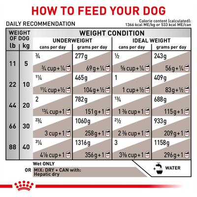 Show full view: Royal Canin Veterinary Diet Adult Hepatic Loaf Canned Dog Food, 13.7-oz, case of 24 slide 8 of 12