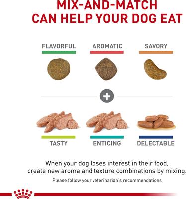 Show full view: Royal Canin Veterinary Diet Adult Renal Support A Dry Dog Food, 17.6-lb bag slide 8 of 11