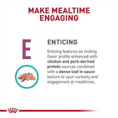 Show full view: Royal Canin Veterinary Diet Adult Renal Support E Loaf Canned Dog Food, 13.5-oz, case of 24 slide 6 of 12