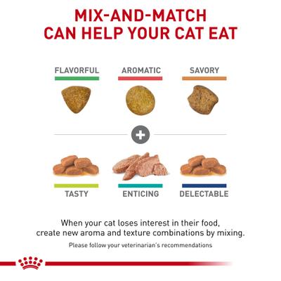 Show full view: Royal Canin Veterinary Diet Adult Renal Support E Loaf in Sauce Wet Cat Food, 5.1-oz, case of 24 slide 6 of 12