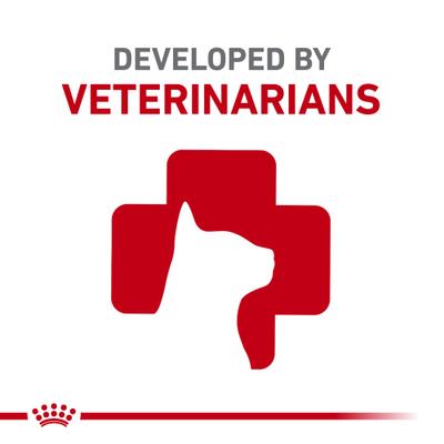 Show full view: Royal Canin Veterinary Diet Adult Renal Support E Loaf in Sauce Wet Cat Food, 5.1-oz, case of 24 slide 8 of 12