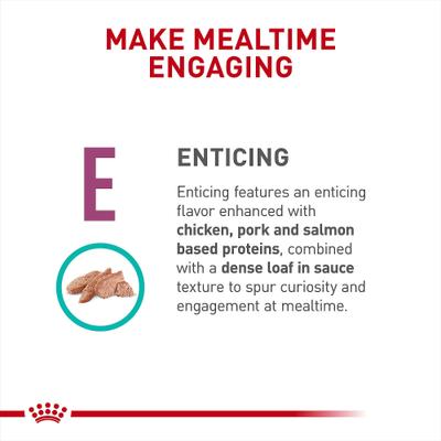 Show full view: Royal Canin Veterinary Diet Adult Renal Support E Loaf in Sauce Wet Cat Food, 5.1-oz, case of 24 slide 5 of 12