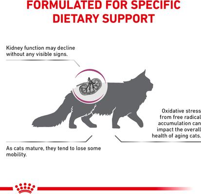 Show full view: Royal Canin Veterinary Diet Adult Renal Support Early Consult Dry Cat Food, 8.8-lb bag slide 4 of 11