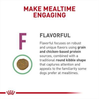 Show full view: Royal Canin Veterinary Diet Adult Renal Support F Dry Dog Food, 17.6-lb bag slide 7 of 12