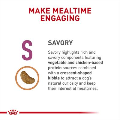 Show full view: Royal Canin Veterinary Diet Adult Renal Support S Dry Dog Food, 17.6-lb bag slide 7 of 11