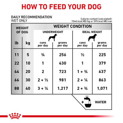 Show full view: Royal Canin Veterinary Diet Adult Renal Support T Loaf Canned Dog Food, 13.5-oz, case of 24 slide 10 of 12