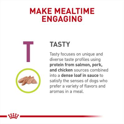 Show full view: Royal Canin Veterinary Diet Adult Renal Support T Loaf Canned Dog Food, 13.5-oz, case of 24 slide 6 of 12