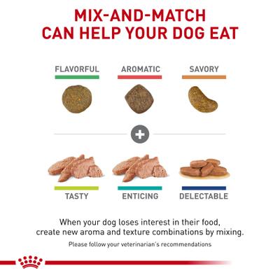 Show full view: Royal Canin Veterinary Diet Adult Renal Support T Loaf Canned Dog Food, 13.5-oz, case of 24 slide 7 of 12