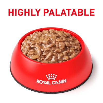 Show full view: Royal Canin Veterinary Diet Adult Satiety Support Weight Management Thin Slices in Gravy Canned Cat Food, 3-oz, case of 24 slide 4 of 12
