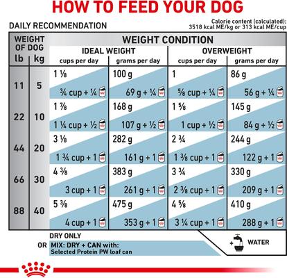 Show full view: Royal Canin Veterinary Diet Adult Selected Protein Potato & Whitefish Formula Dry Dog Food, 30.8-lb bag slide 9 of 11