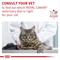 Show in main carousel: Royal Canin Veterinary Diet Adult Ultamino Dry Cat Food, 5.5-lb bag slide 9 of 11