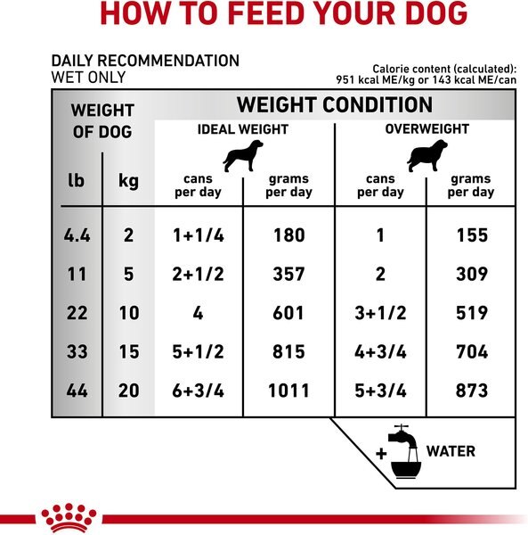 Royal Canin Veterinary Diet Urinary SO Aging 7+ Loaf in Sauce Wet Dog Food