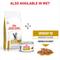 Show in main carousel: Royal Canin Veterinary Diet Adult Urinary SO Moderate Calorie Dry Cat Food, 17.6-lb bag slide 7 of 12