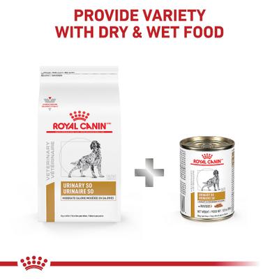 Show full view: Royal Canin Veterinary Diet Adult Urinary SO Moderate Calorie Dry Dog Food, 17.6-lb bag slide 7 of 12