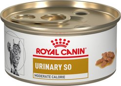 Royal Canin Veterinary Diet Adult Urinary SO Moderate Calorie Morsels in Gravy Canned Cat Food, 3-oz, case of 24