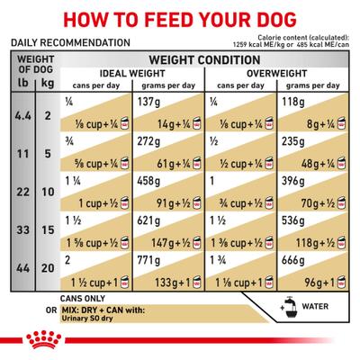 Show full view: Royal Canin Veterinary Diet Adult Urinary SO Moderate Calorie Thin Slices In Gravy Wet Dog Food, 12.5-oz can, case of 12 slide 6 of 12