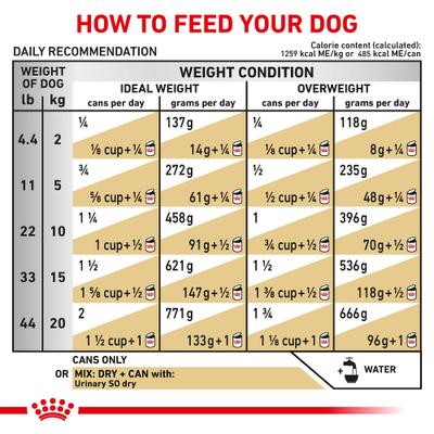 Show full view: Royal Canin Veterinary Diet Adult Urinary SO Moderate Calorie Thin Slices In Gravy Wet Dog Food, 12.5-oz can, case of 6 slide 5 of 11