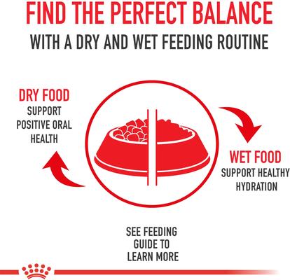 Show full view: Royal Canin Veterinary Diet Adult Urinary SO Moderate Calorie Thin Slices In Gravy Wet Dog Food, 12.5-oz can, case of 6 slide 9 of 11