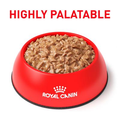 Show full view: Royal Canin Veterinary Diet Adult Urinary SO Morsels in Gravy Canned Cat Food, 3-oz, case of 24 slide 4 of 13