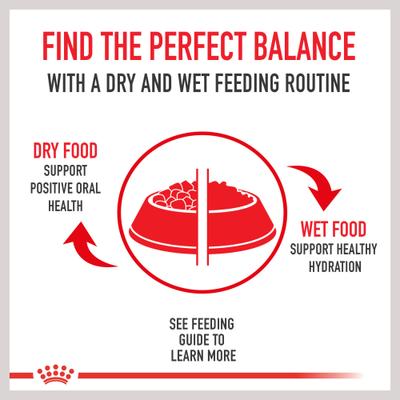 Show full view: Royal Canin Veterinary Diet Adult Urinary SO Thin Slices in Gravy Canned Dog Food, 12.5-oz can, case of 24 slide 5 of 12