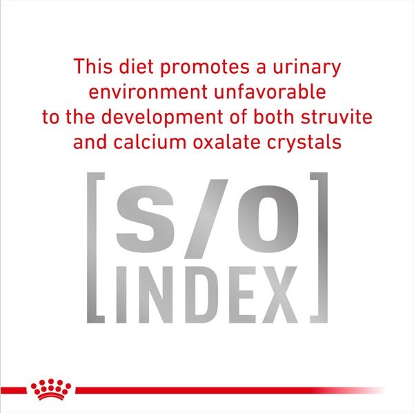 Royal Canin Veterinary Diet Adult Urinary SO Thin Slices in Gravy Canned Dog Food