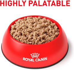 Royal Canin Veterinary Diet Adult Weight Control Loaf in Sauce Canned Dog Food, 13.5-oz can, case of 24 slide 2 of 9