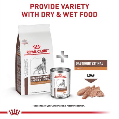 Royal Canin Veterinary Diet Gastrointestinal Low Fat Adult Dry Dog Food