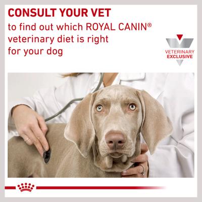 Show full view: Royal Canin Veterinary Diet Hydrolyzed Protein Dry Puppy Dog Food, 22-lb bag slide 10 of 12